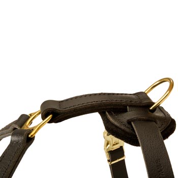 Corrosion Resistant D-ring of Dog Harness