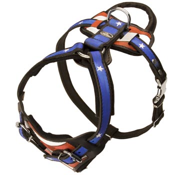 Leather SDog Harness with Handle Stitched to Back Plate