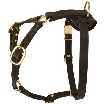 Tracking Leather Dog Harness for Dog