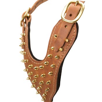 Brass Spiked Leather Dog Harness
