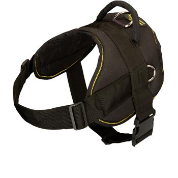 Nylon All Weather Dog Harness for Service Dogs