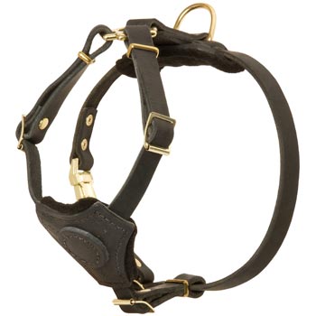 Light Weight Leather Puppy Harness for Dog