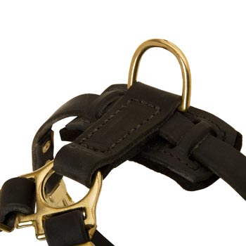D-ring on Leather Dog Harness for Puppy Training