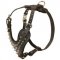 Spiked Leather Dog Harness for Fashionable Walking