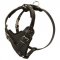 Protection Leather Dog Harness for Attack / Agitation Dog Training