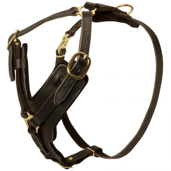 Padded Leather Dog Harness for Agitation Training