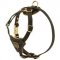 Tracking Walking Walking Leather Dog Harness for Puppies
