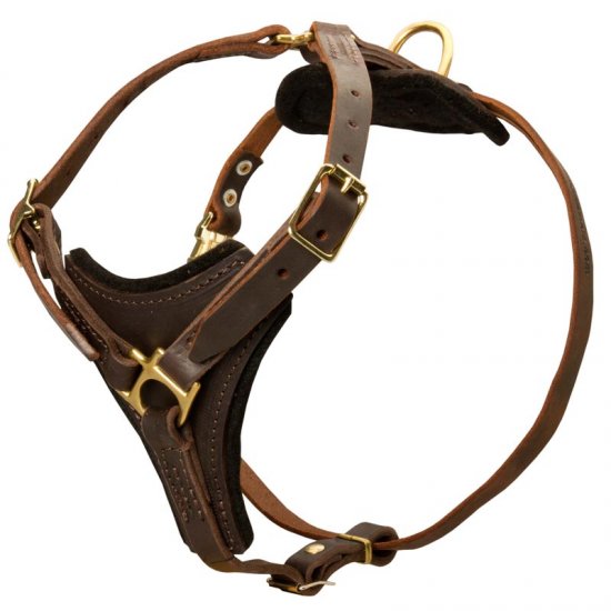 Tracking Leather Dog Harness With Y Chest Plate