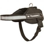 Nylon Dog Harness with Reflective Strap for Training, Walking, Police Service, SAR and More