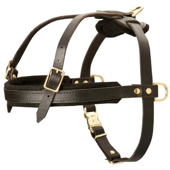 Leather Dog Harness for Tracking and Pulling - Click Image to Close
