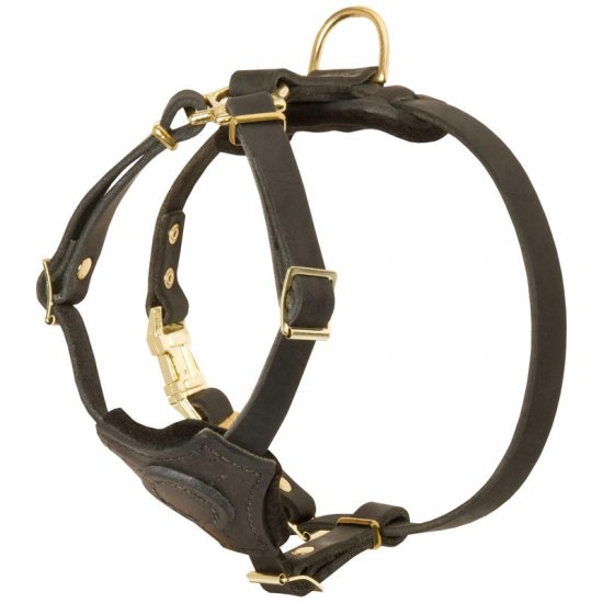 Spruce Leather Dog Harness With Small Chest Plate