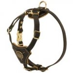 Tracking Walking Walking Leather Dog Harness for Puppies