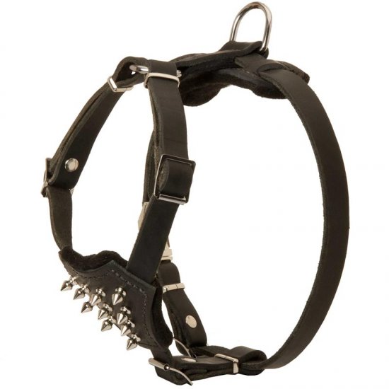 Spiked puppy harness cheap