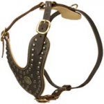 Royal Design Leather Dog Harness with Brass Studs