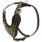 Adjustable Leather Dog Harness Studded for Fashion Walking