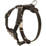 Studded Leather Dog Puppy Harness