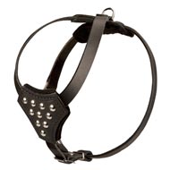 Designer Leather Dog Harness with Adjustable Straps for Puppy Walking and Training