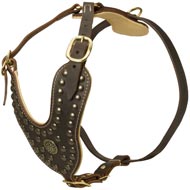 Royal Design Leather Dog Harness with Brass Studs