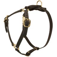 Y-Shaped Leather Dog Harness for Tracking and Training