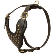 Adjustable Studded Leather Dog Harness for Fashion Walking