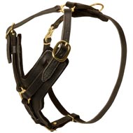 Padded Leather Dog Harness for Agitation Training