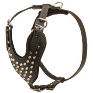 Adjustable Leather Dog Harness Studded for Fashion Walking