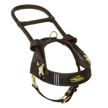 Dog Leather Guide Harness with ID Patches