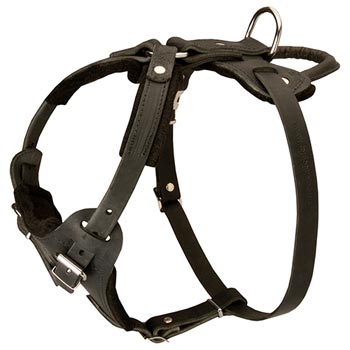 Leather Dog Harness for Dog Off Leash Training