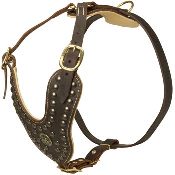 Walking Dog Gear for Dog