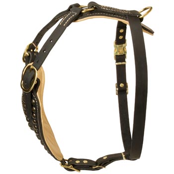 Custom Made Dog Harness for Dog