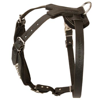 Custom Made Leather Dog Harness