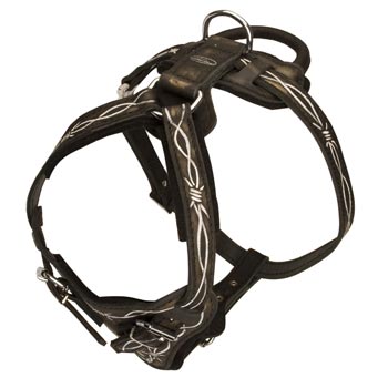 Agitation Training Leather Dog Harness