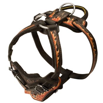 Leather Dog Harness with Handle for Dog Training