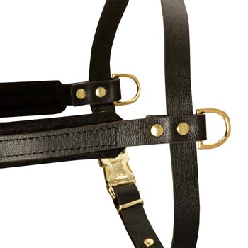 Training Pulling Dog Harness with Sewn-In Side D-Rings