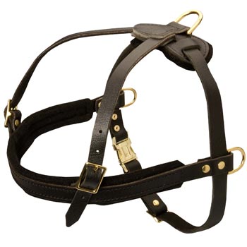 Leather Dog Harness for Dog Off Leash Training
