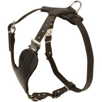 Dog Harness for Off-Leash Training