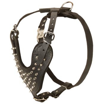 Spiked Leather Harness for Dog Walking
