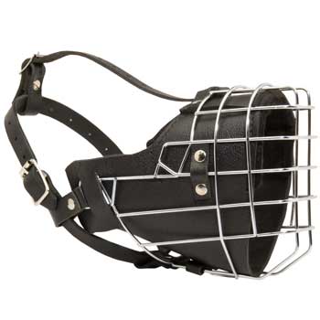 Padded on the Nose Dog Muzzle