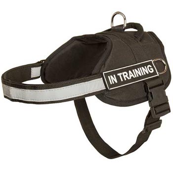 Nylon Dog Harness Multifunctional All-Weather Practical