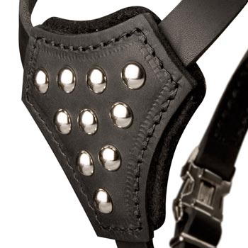 Dog Harness Leather with Studded  Breast Plate