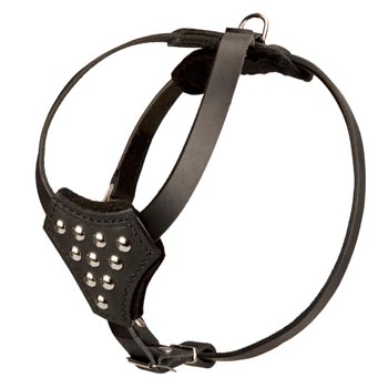 Leather Dog Puppy Harness with Studded Chest Plate